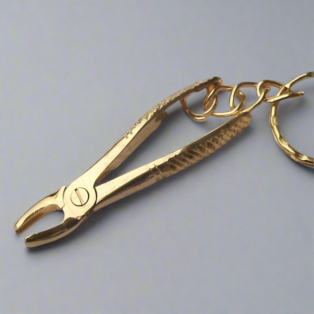 Keyring - Stainless Steel Extraction Forceps