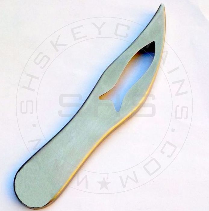 Stainless Steel Fish Cleaning Tool