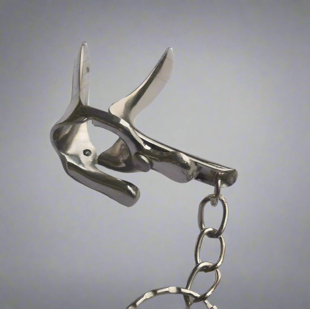 Keychain - Miniature Gynecological Speculum Stainless Steel
