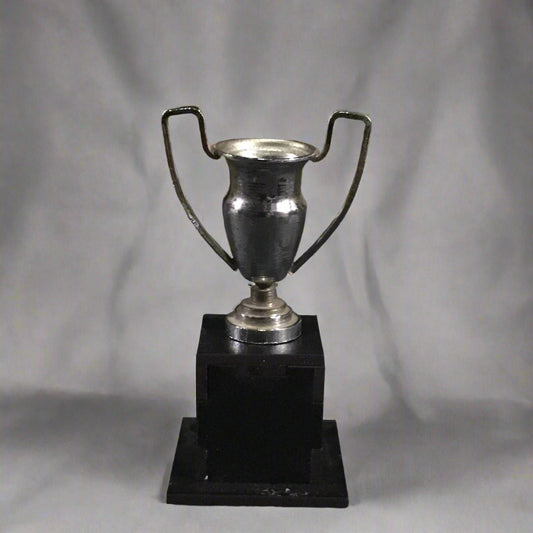 Cute Miniature Artistice Metal Trophy