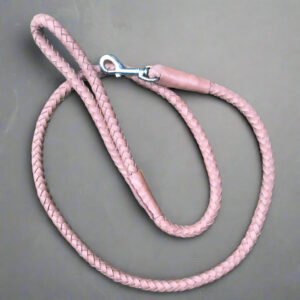 Handcrafted Genuine Leather Braided Dog Leash – Heavy Duty Training Lead with Solid Metal Clasp