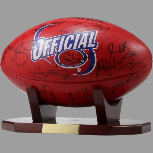 Rugby Trophy real rugby ball - SHS Gifts | Crafted to Be Given